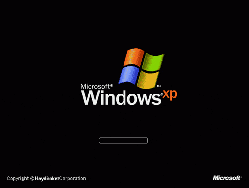 giphy.gif