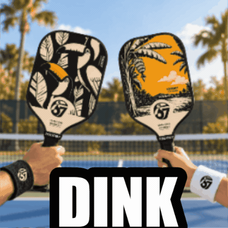 TOCO67 Pickleball GIF 1Hv0nnORoWHNQovGDr