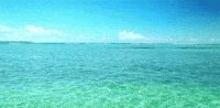 POV: 71% планети — вода, і майже вся вона в океані 🌊