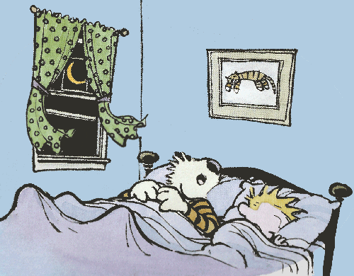 Calvin And Hobbes Sleeping GIF