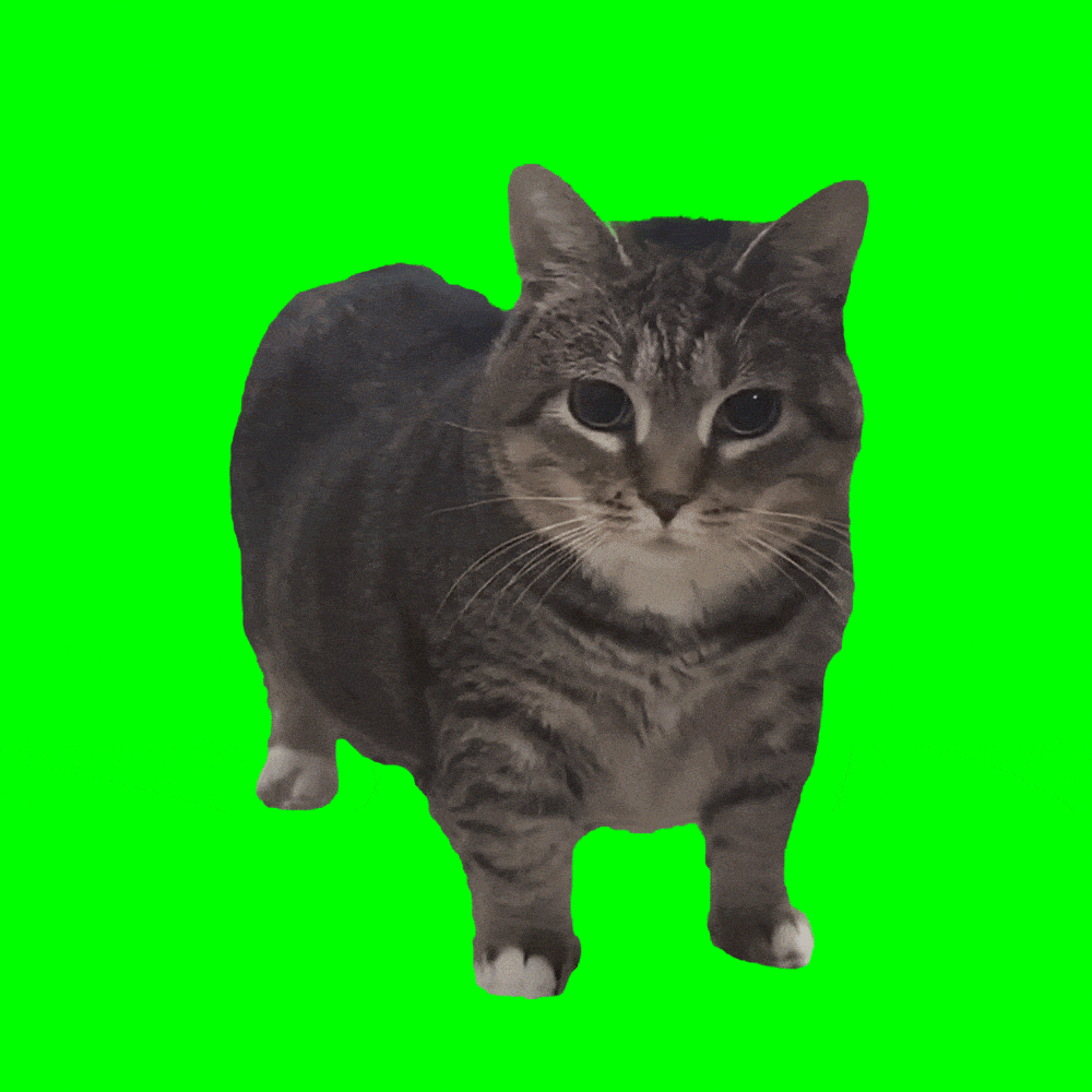 https://media.giphy.com/media/1OrIIOIcRTDaNidc5p/giphy.gif