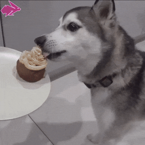 Gif of dog stealing food at a party