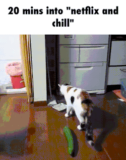 Netflix And Chill GIF - Find & Share on GIPHY