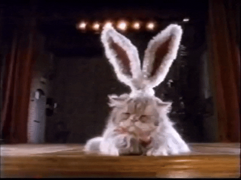 Easter GIFs - Find & Share on GIPHY