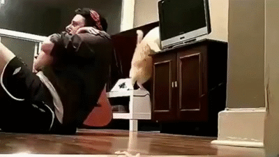 giphy.gif