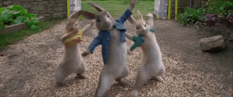 Peter Rabbit GIF - Find & Share on GIPHY