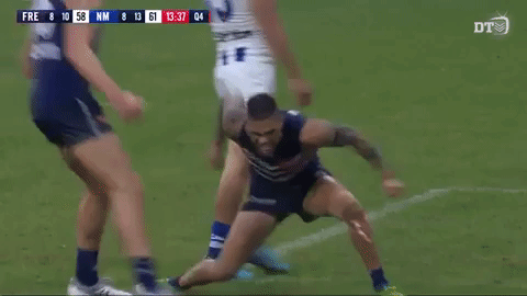Afl Dockers GIF