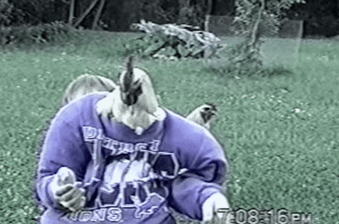 giphy.gif