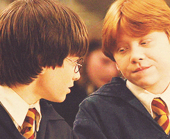 A picture of Harry and Ron
