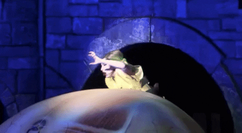 giphy.gif