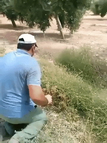 Catch of the year in funny gifs