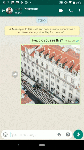 This is how to forward animated GIF images on WhatsApp