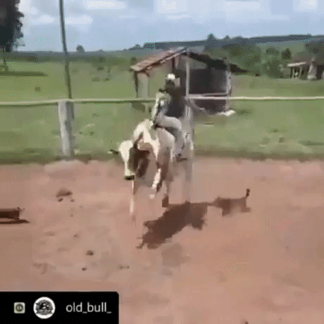 That flip in funny gifs