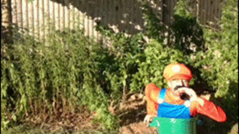 Drunken Mario funny Gif