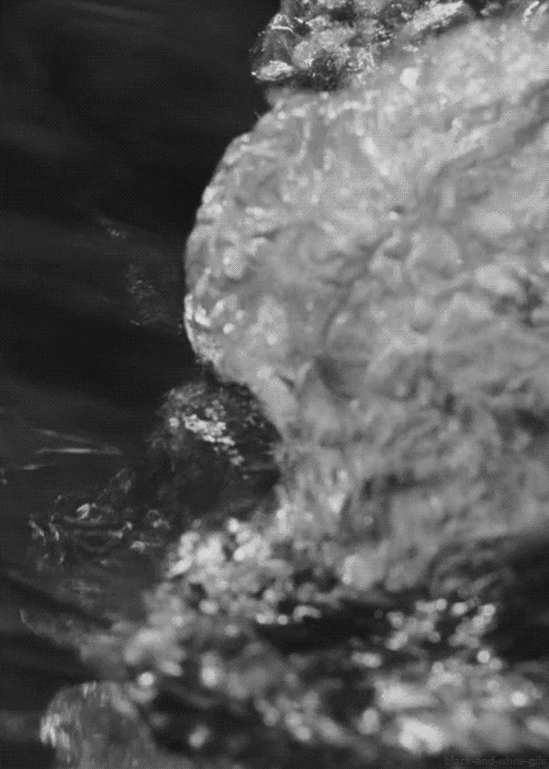 Black And White Water GIF Find & Share on GIPHY