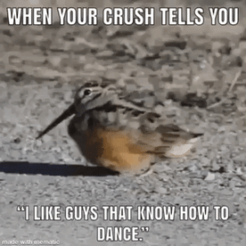 Just for crush in funny gifs