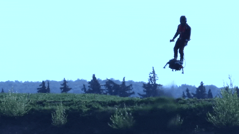 None animated GIF