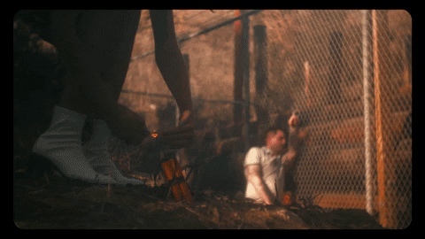 Pleasures Seaway GIF by Pure Noise Records