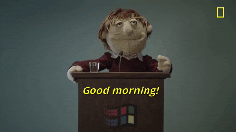 giphy.gif
