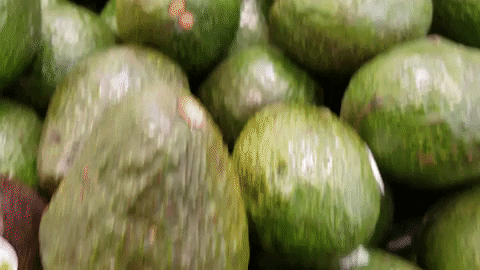 Grocery Store Avocado GIF by A Magical Mess