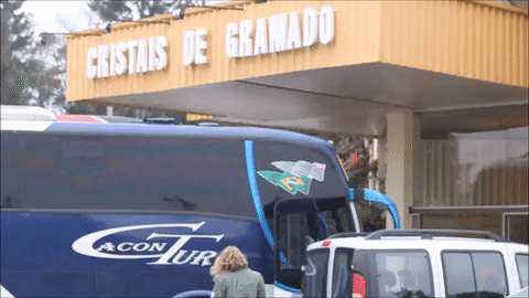 cristais de gramado