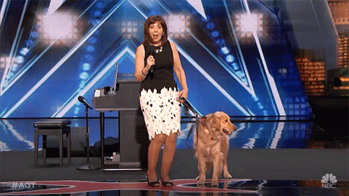 Nbc Contestants GIF by America's Got Talent