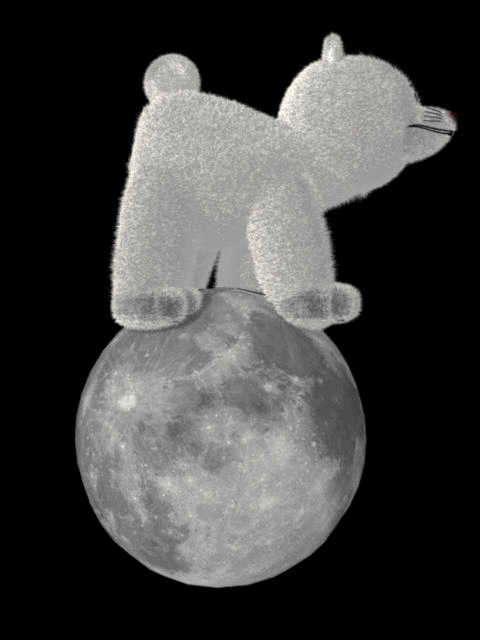 moon teddy