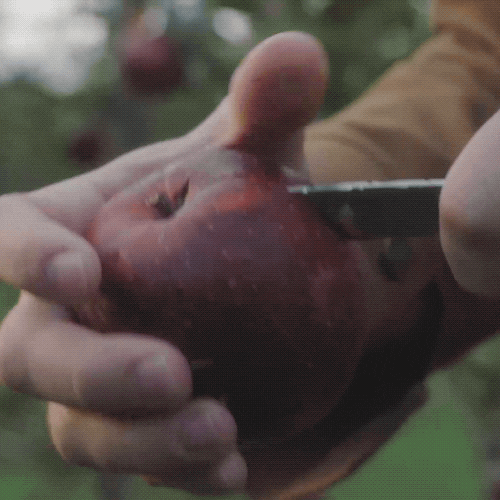 Cutting Apple Cider GIF by Angry Orchard