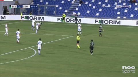 Dezerbi GIF by nss sports