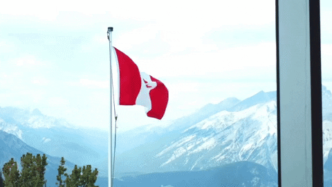 Alberta Immigrant Nominee Program vivir y trabajar en Canadá