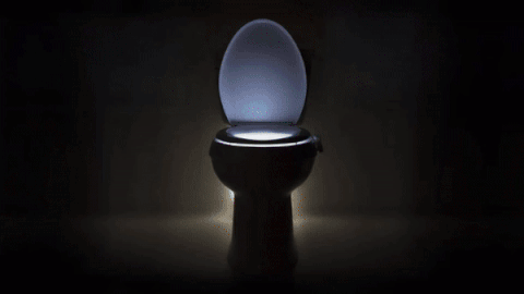 Colorful Toilet Bowl Lights Motion Sensor LED Toilet Nightlight Bathroom  Closestool Lights, 1 unit - Ralphs