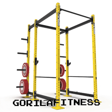 Yc Racks On Racks Gif Fitness Rack GIF - Find & Share on GIPHY