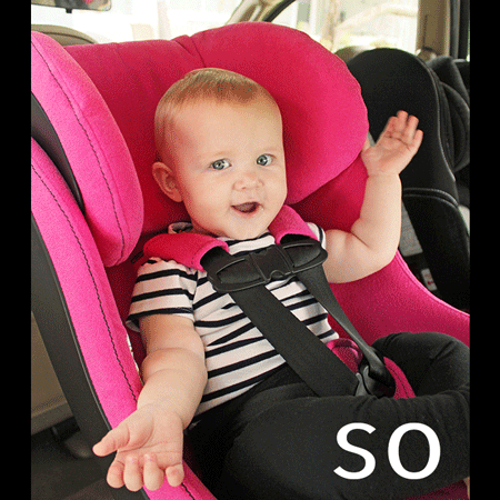 Ddl Gif Find Share On Giphy Ddl Gif