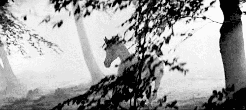 black and white 80s fantasy dreams scifi