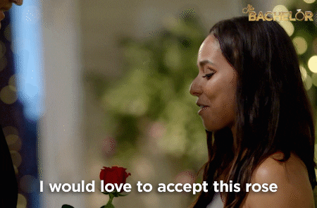 Rose Honeybadger GIF by The Bachelor Australia - Find & Share on GIPHY
