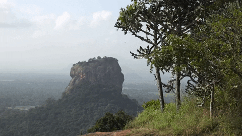 Sigiriya en Sri Lanka desde Pidurangala Rock