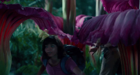 Flowers Exploring GIF by Dora and the Lost City of Gold