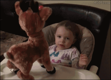 funny pictures animated GIF 