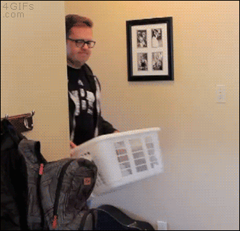giphy.gif