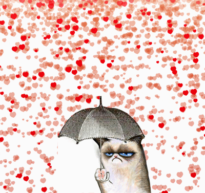 heart umbrella grumpy cat