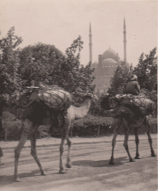 Fraggle Rock GIF Find & Share on GIPHY