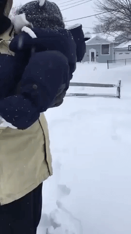 Feel the ice in funny gifs