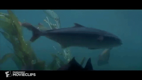 Jaws 3-D GIF