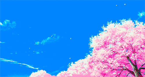 Anime Cherry Blossom Wallpaper Gif / Cherry blossom petals falling gif