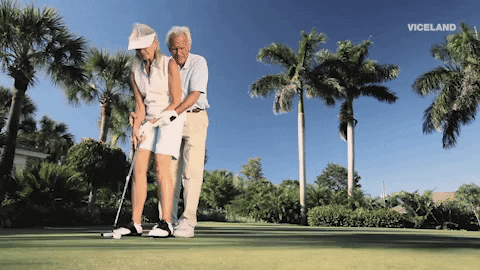 old couple got a perfect shot of the golf ball to the hole