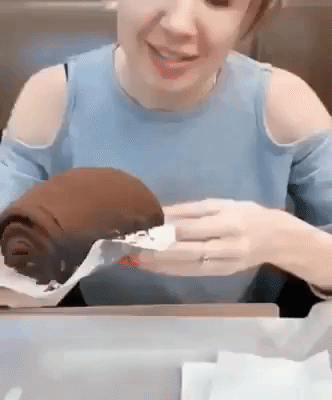 The chocolate roll in funny gifs