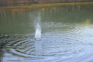 Water Ripples GIFs - Find & Share on GIPHY