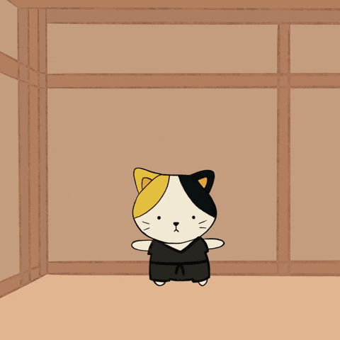 cat-karate-gif-find-share-on-giphy