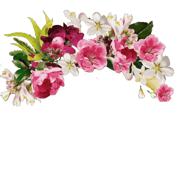 Hair Crown Sticker by Aveda for iOS & Android GIPHY