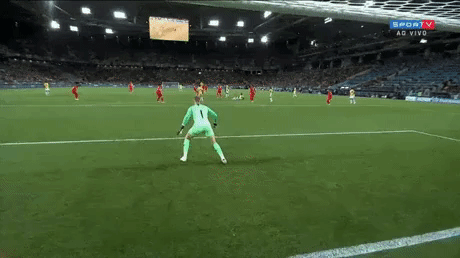 One of the best save in Fifa World Cup 2018 in FIFAWorldCup2018 gifs